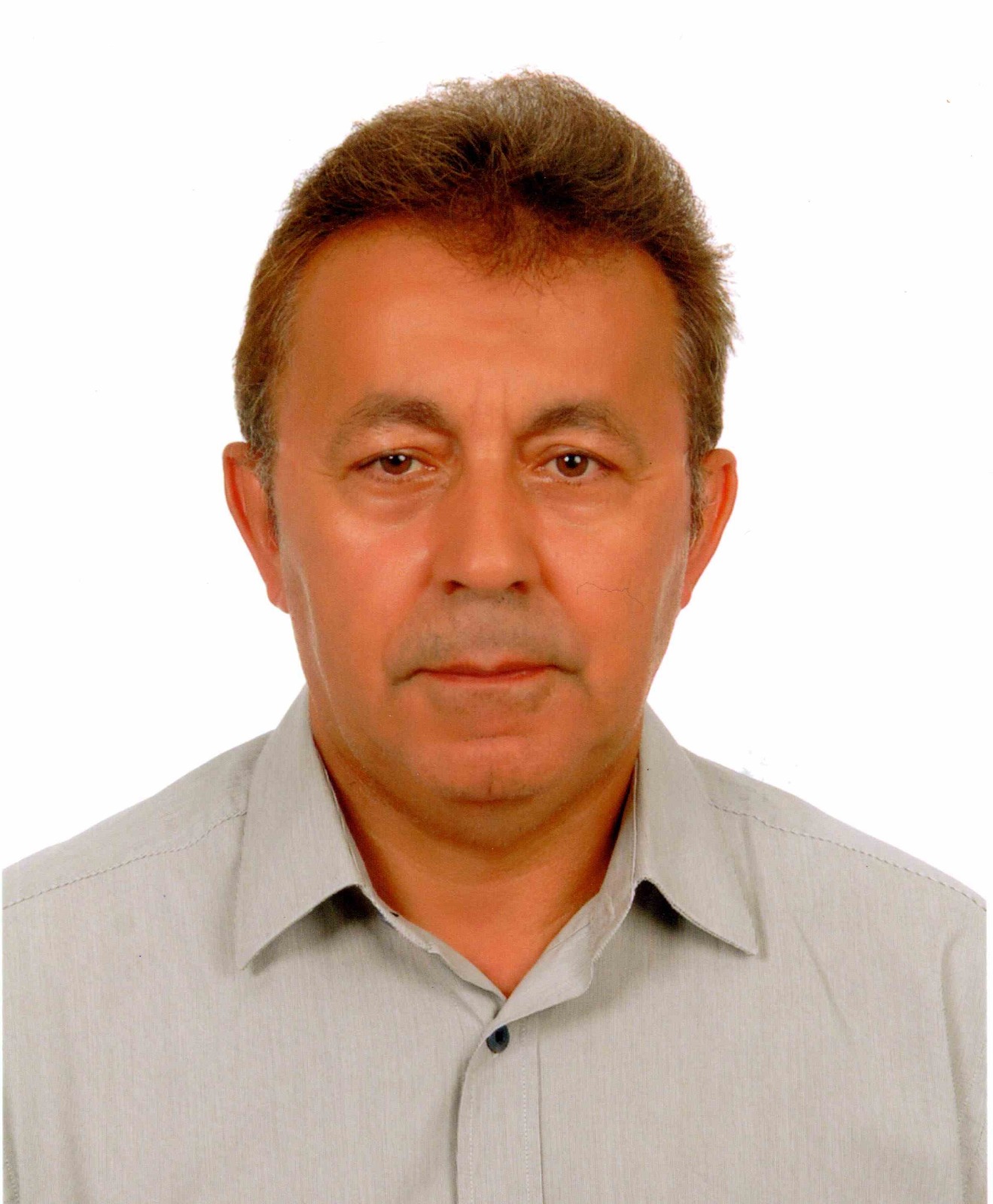 Prof.Dr. Birol ELEVLİ