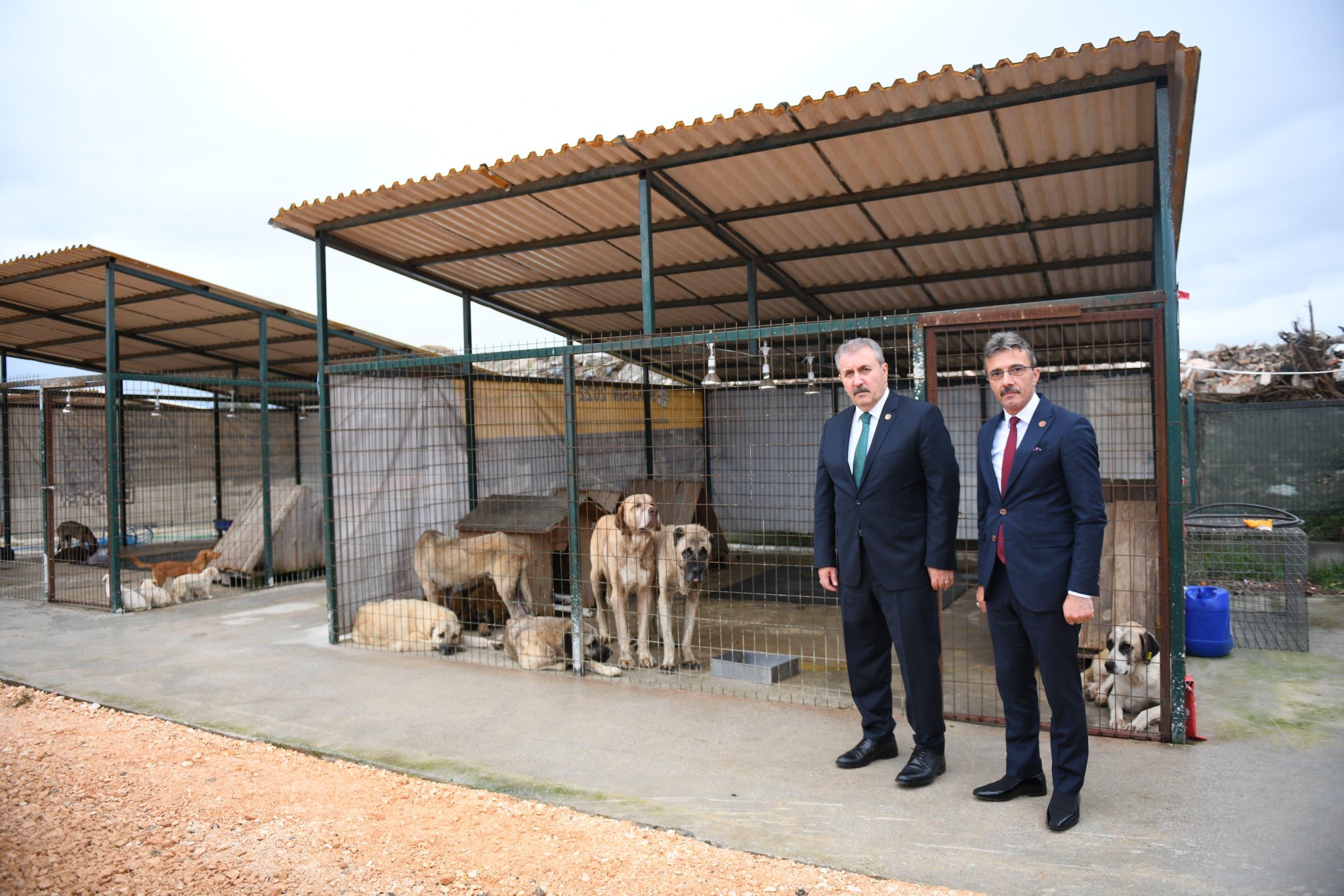 Erenler Beledi̇yesi̇ Sokak Hayvanlari Geçi̇ci̇ Barinma Merkezi̇ Açildi (1)