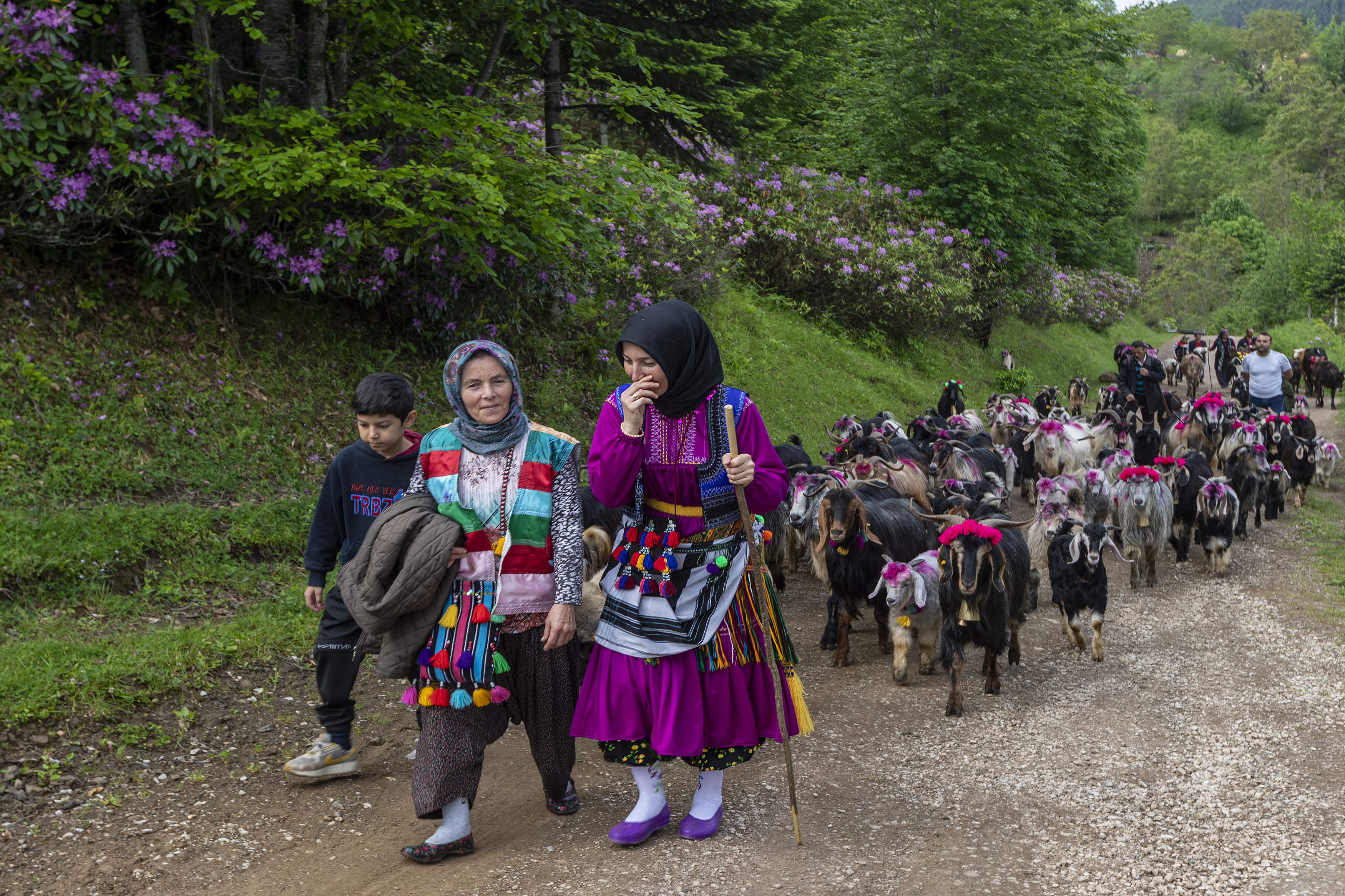 3.Lik Ödülü Cigdem Sorgut Yayla Yolculugu