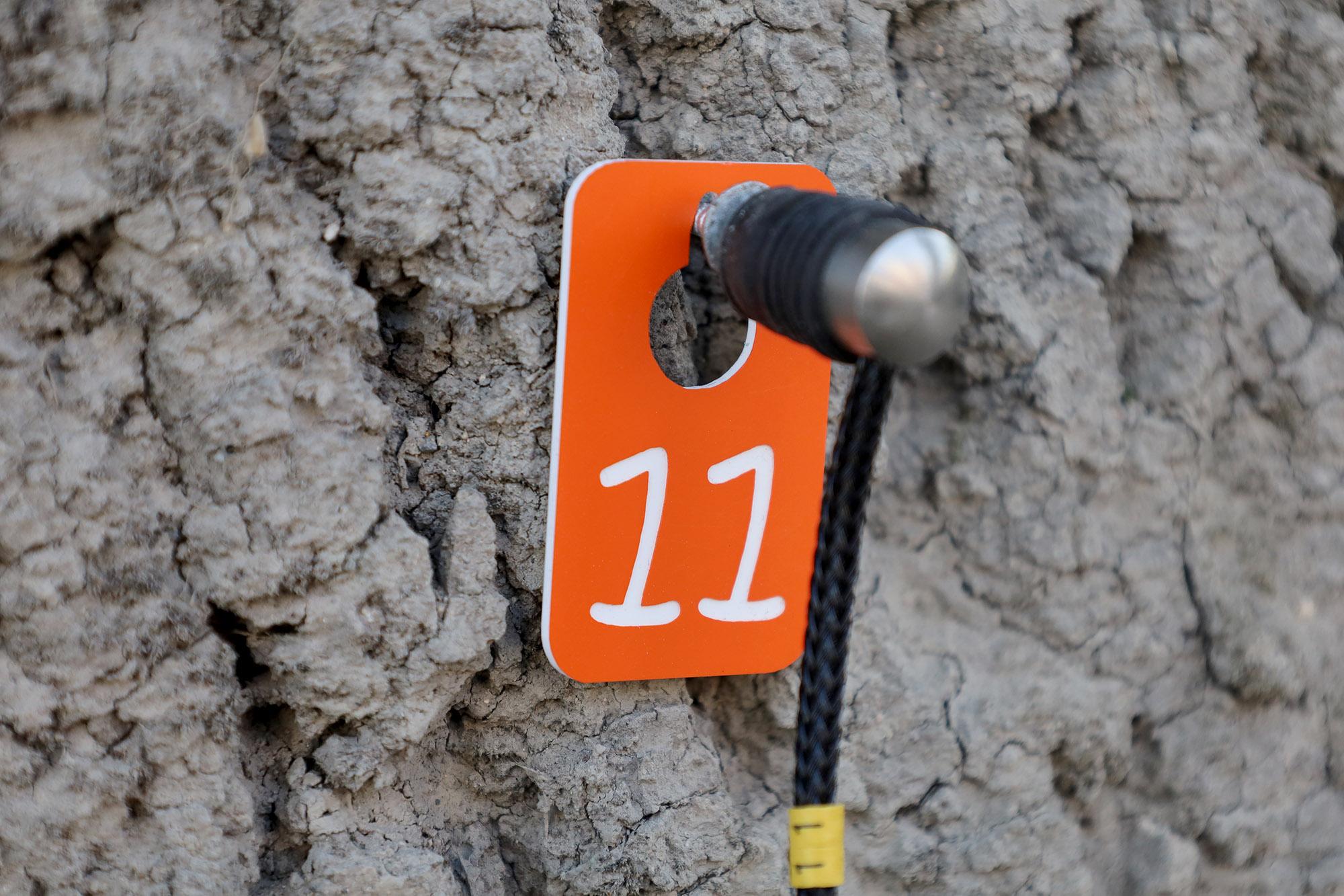 10 (1)-61