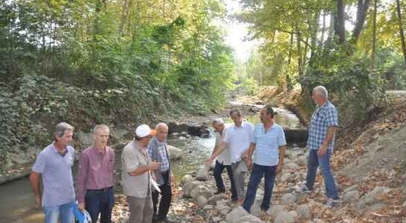 Ekran Görüntüsü 2025 06 04 165625
