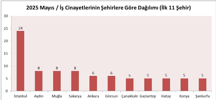 Ekran Görüntüsü 2025 06 11 121930