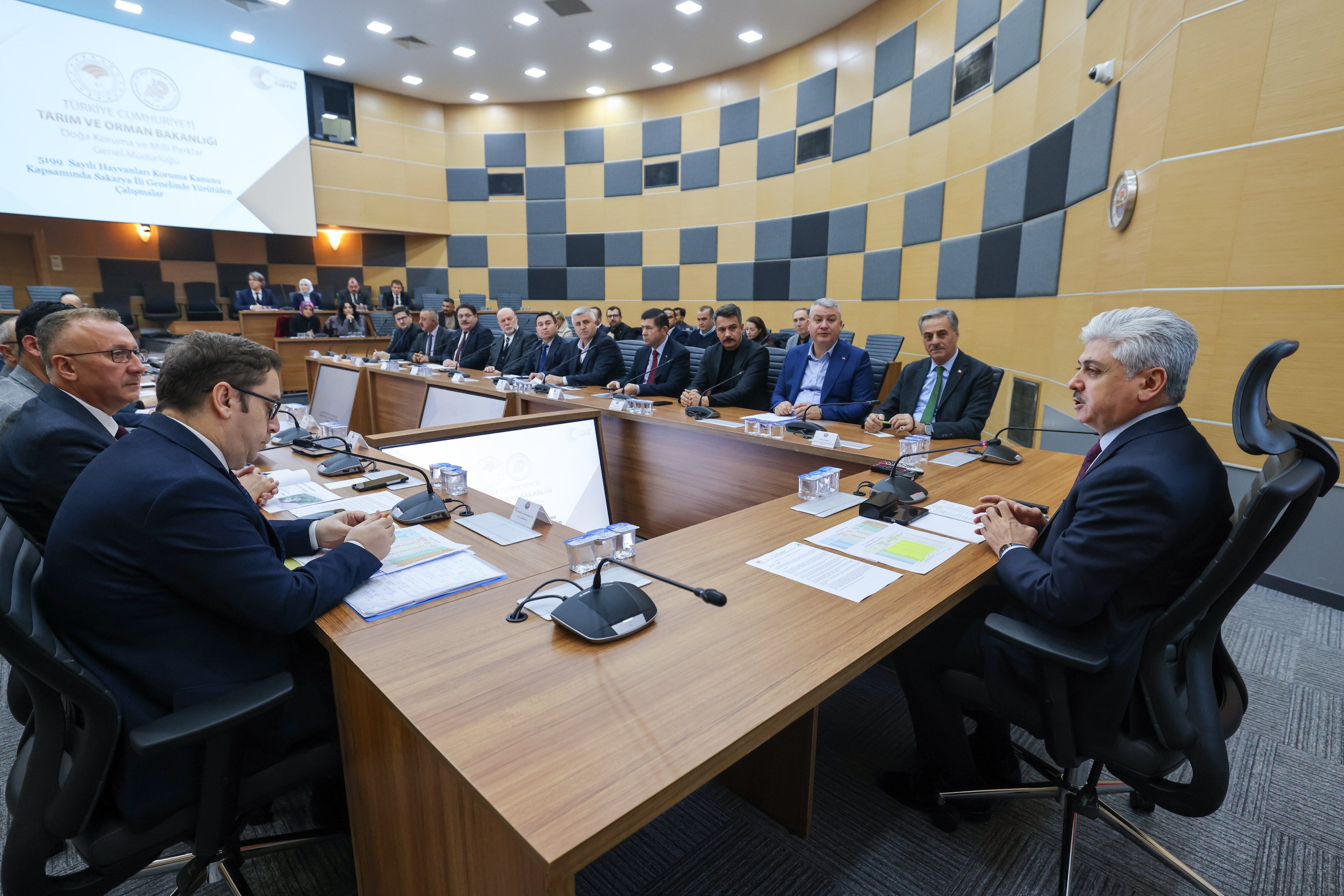 Koordinasyonun Gücü