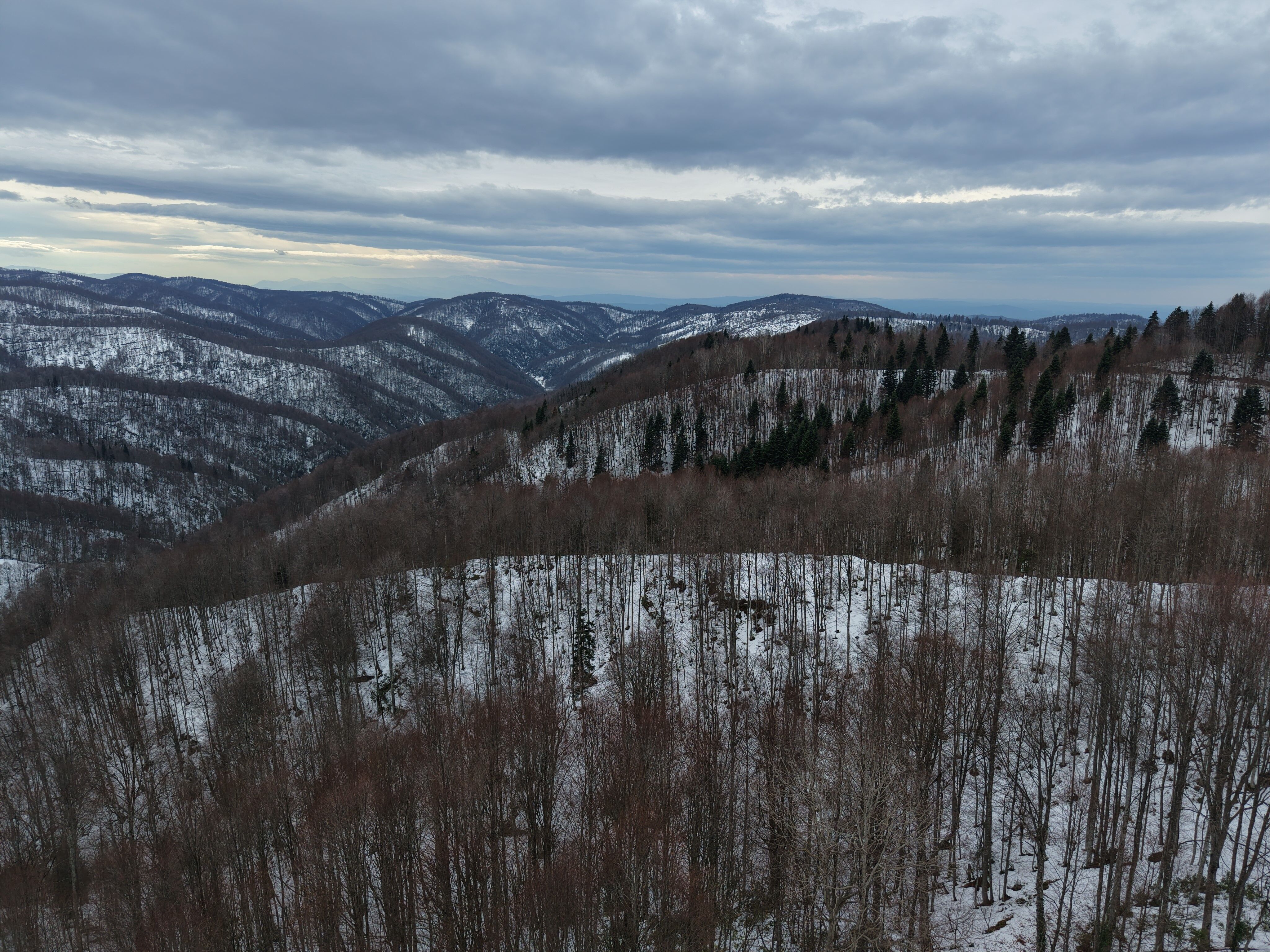 A W613746 08