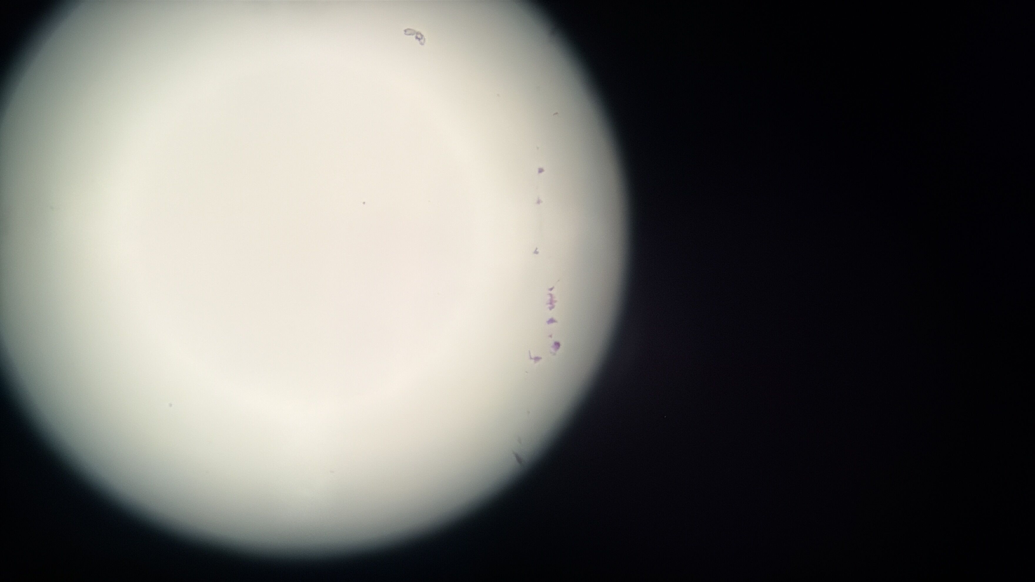 A W627753 04
