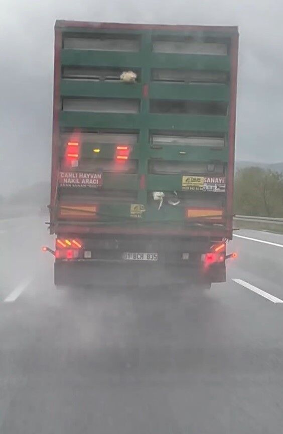 A W697302 01