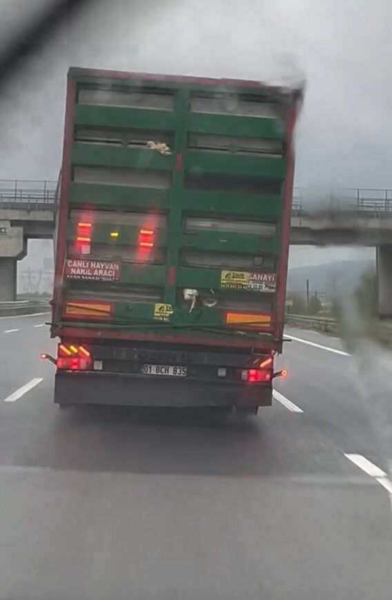 A W697302 03