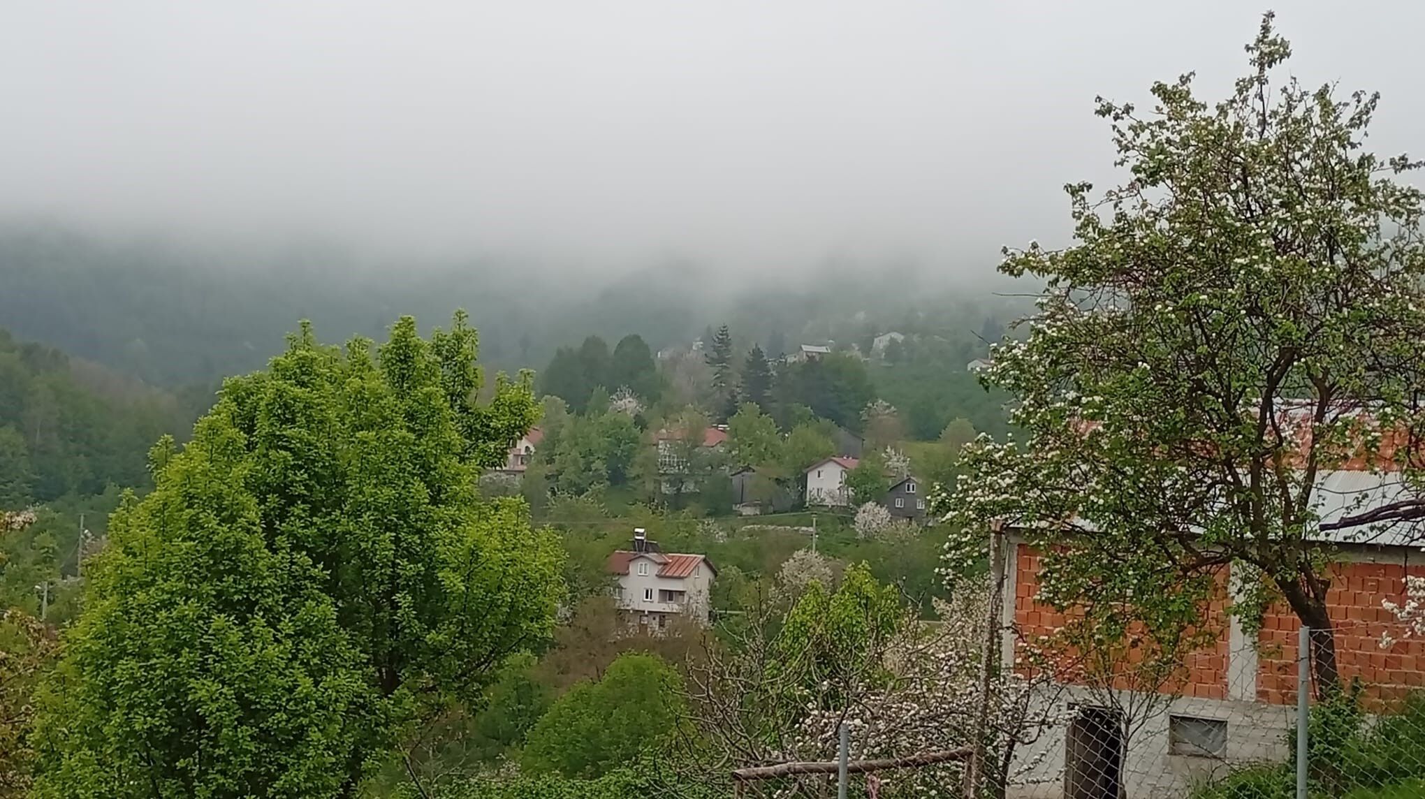 A W704609 02
