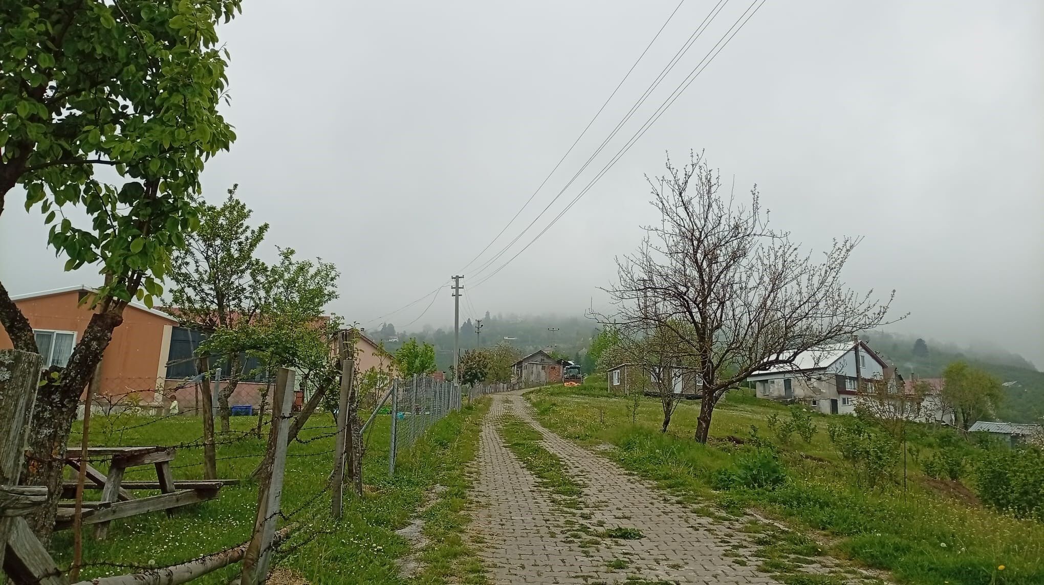 A W704609 03