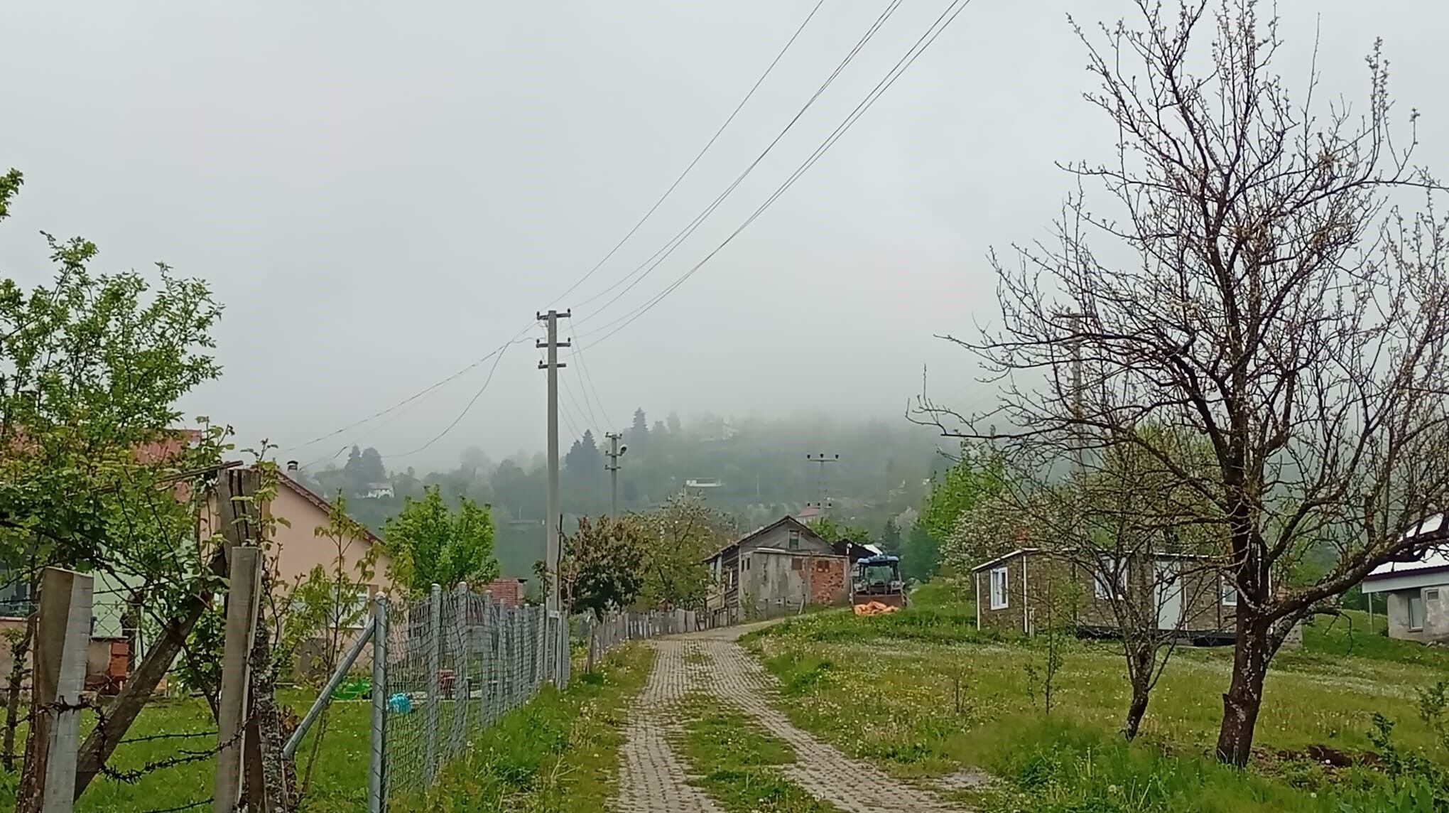 A W704609 06