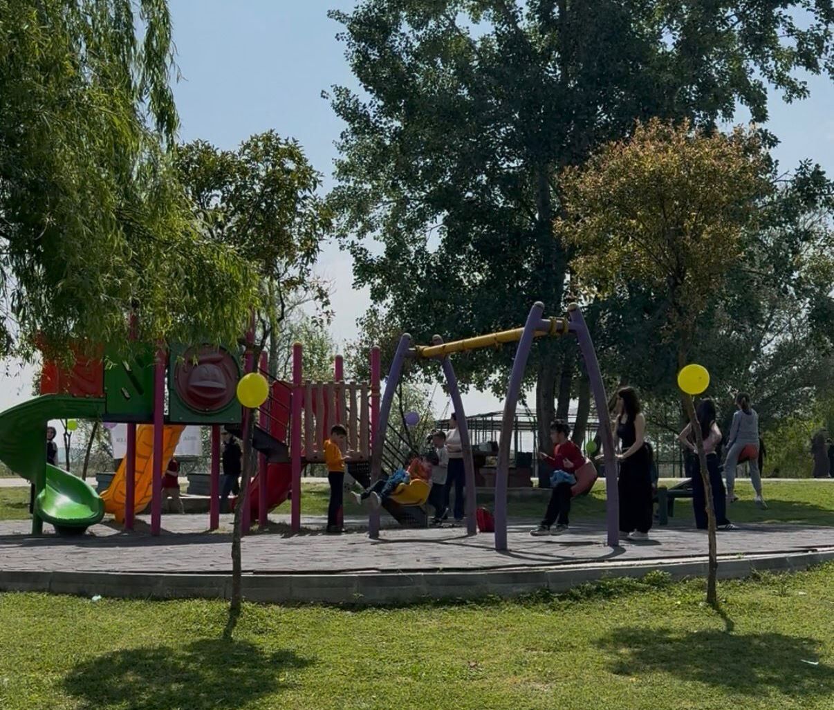 Proje Etkinliği (3)