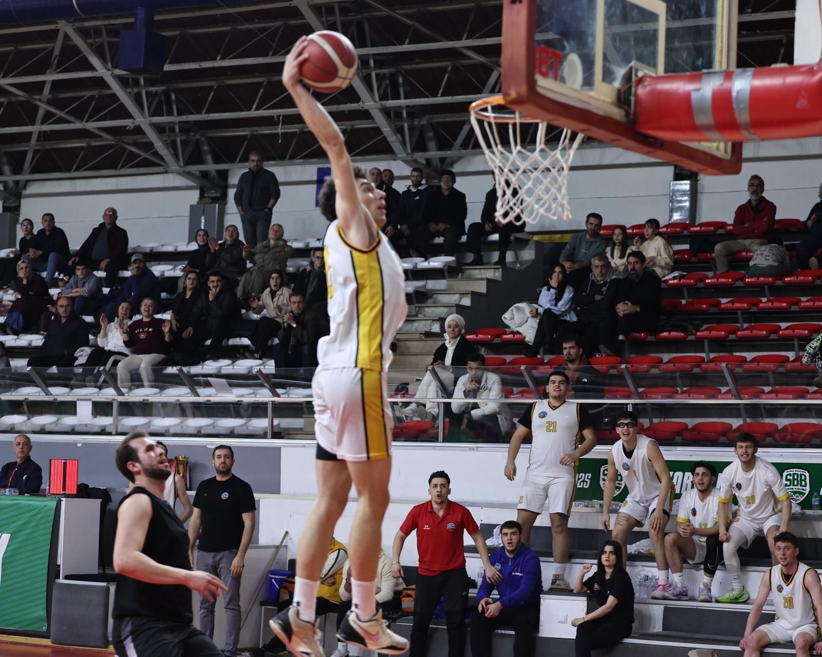 Ser Basket2