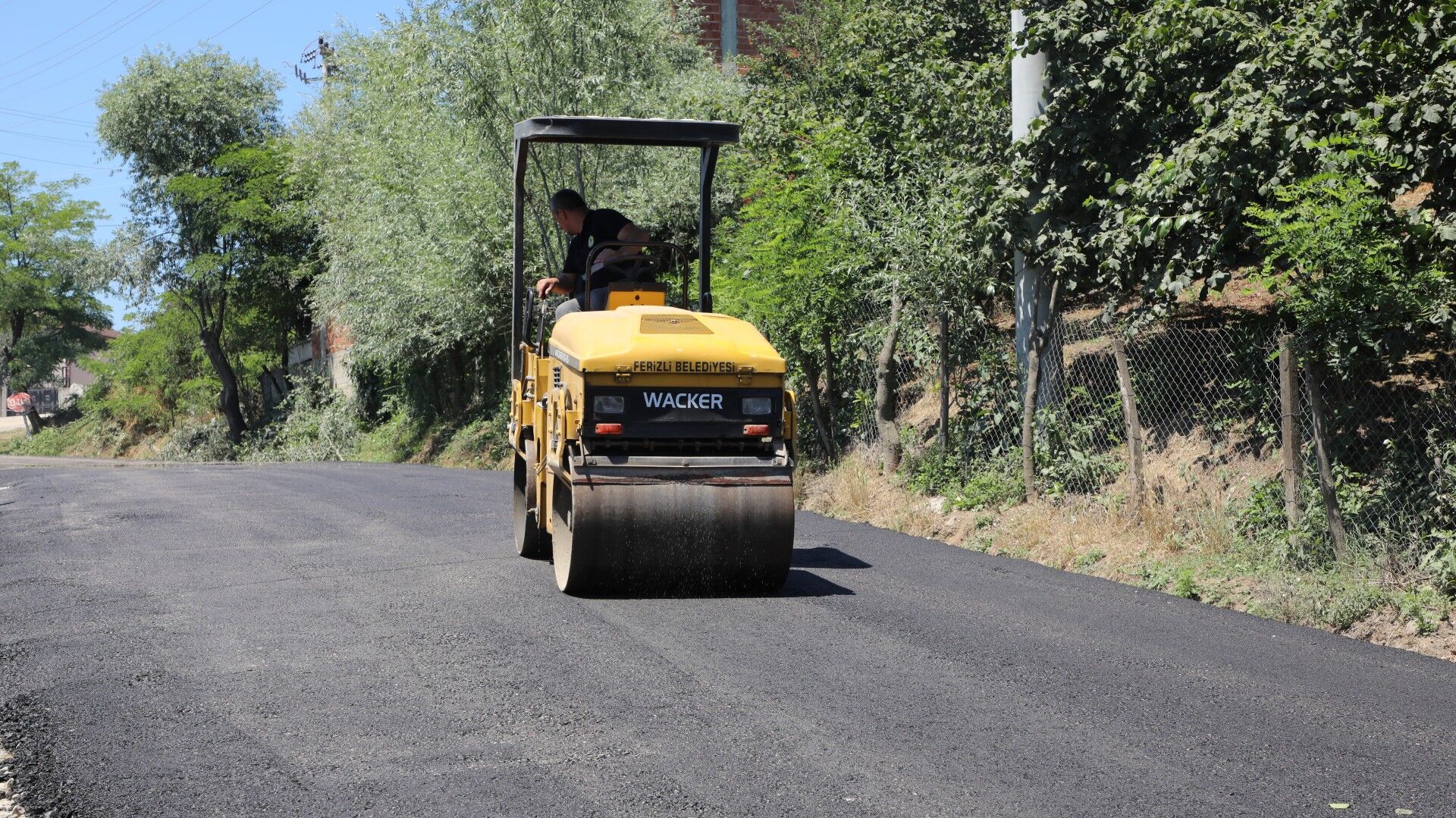 2M3A6836 (Large)