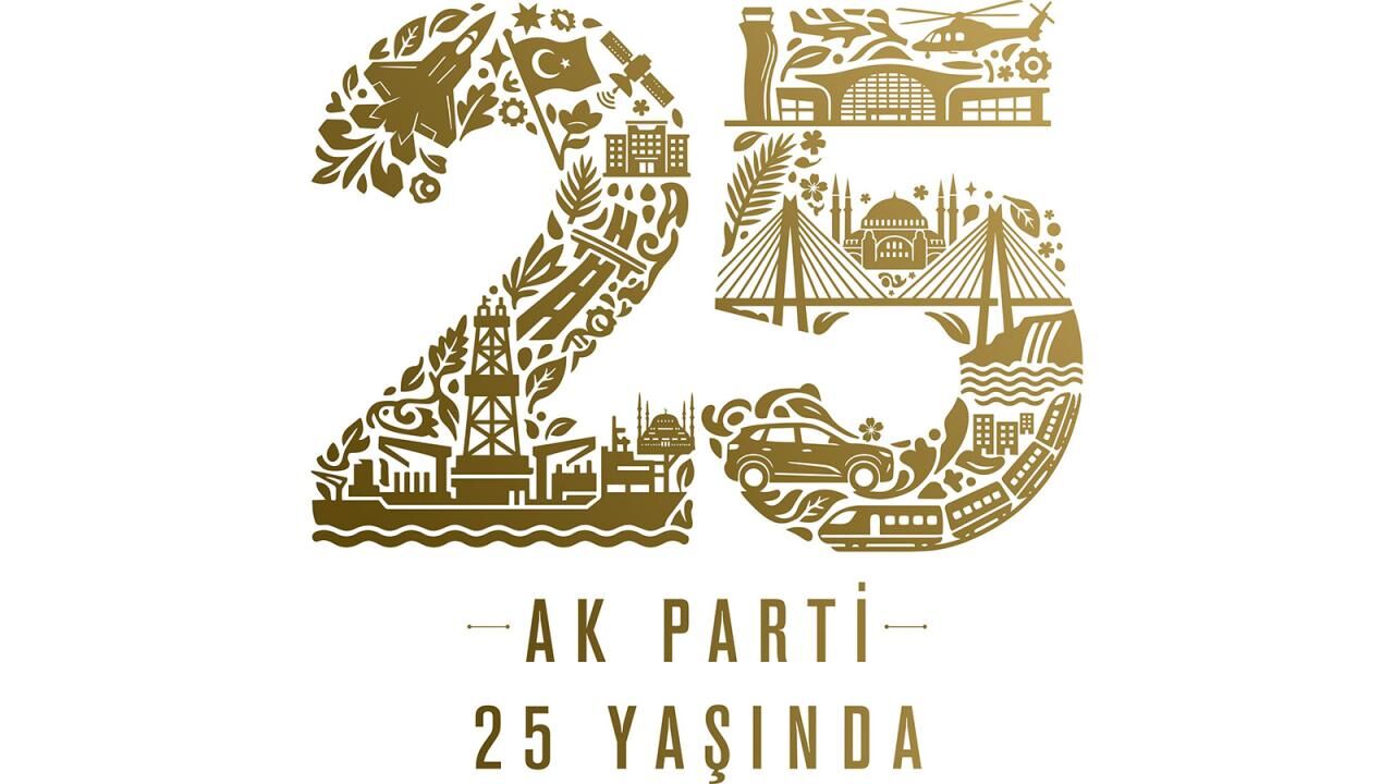25 3