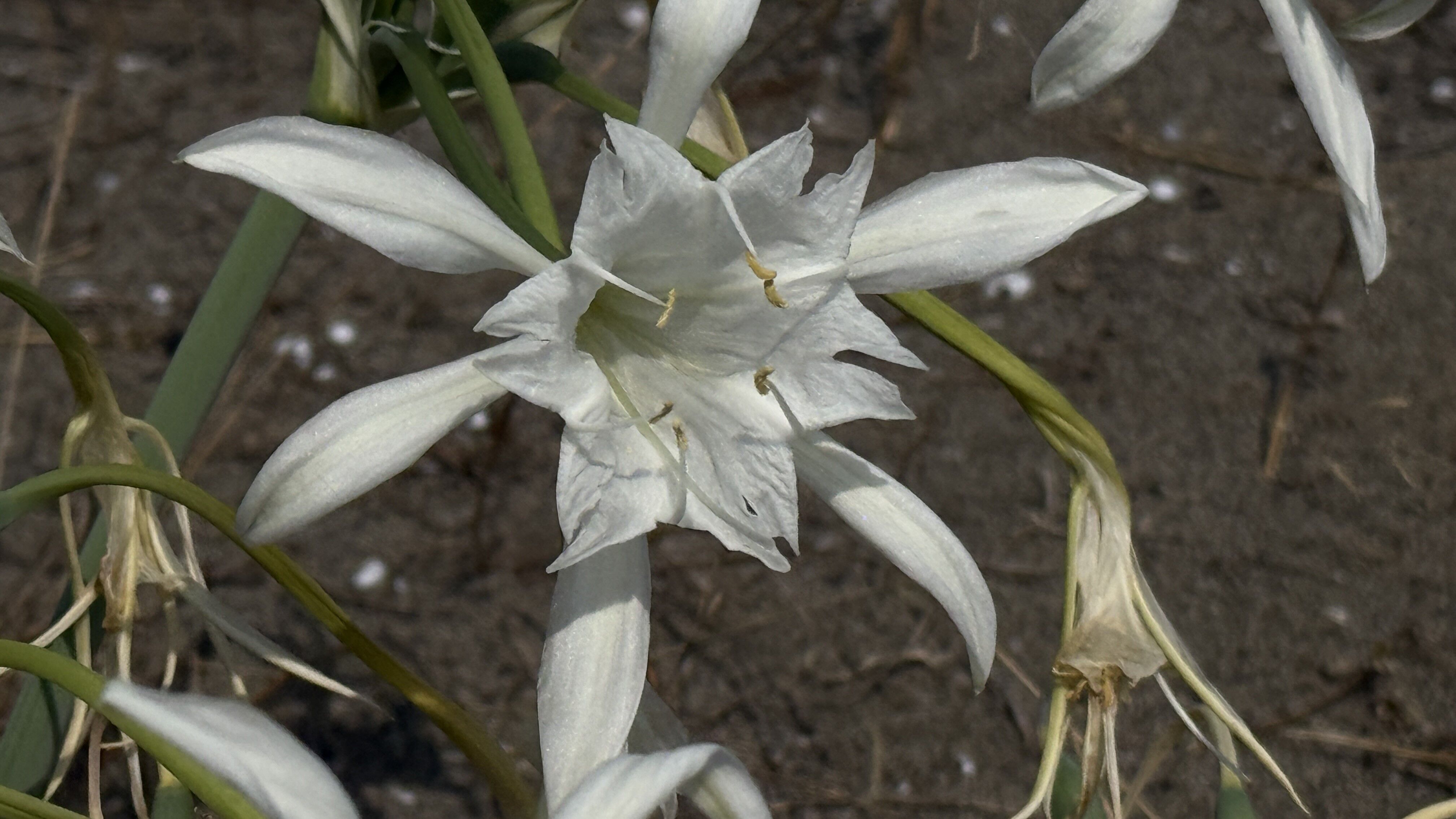 A W765979 09