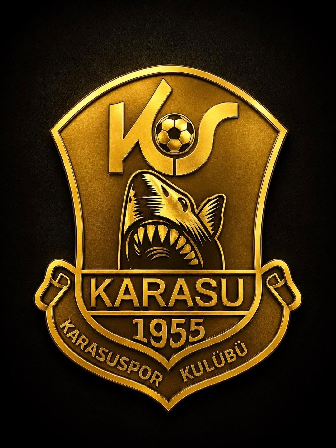 Karasu Logo