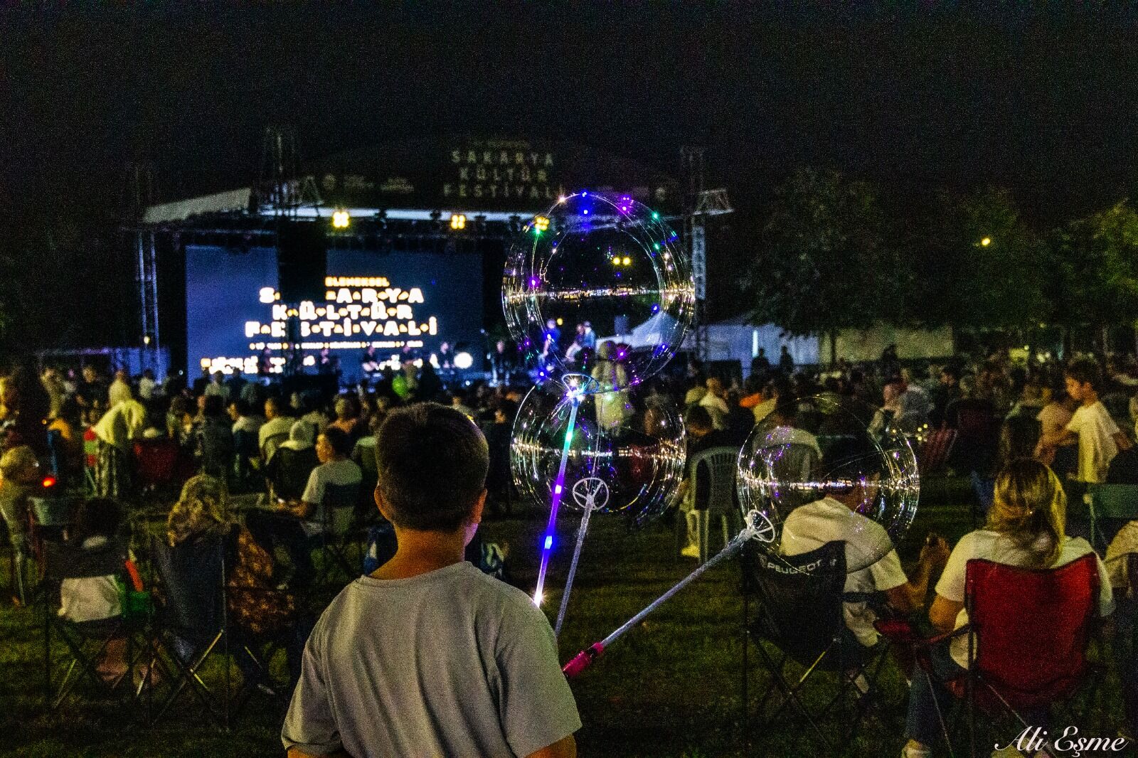 Sykd Festival (4)