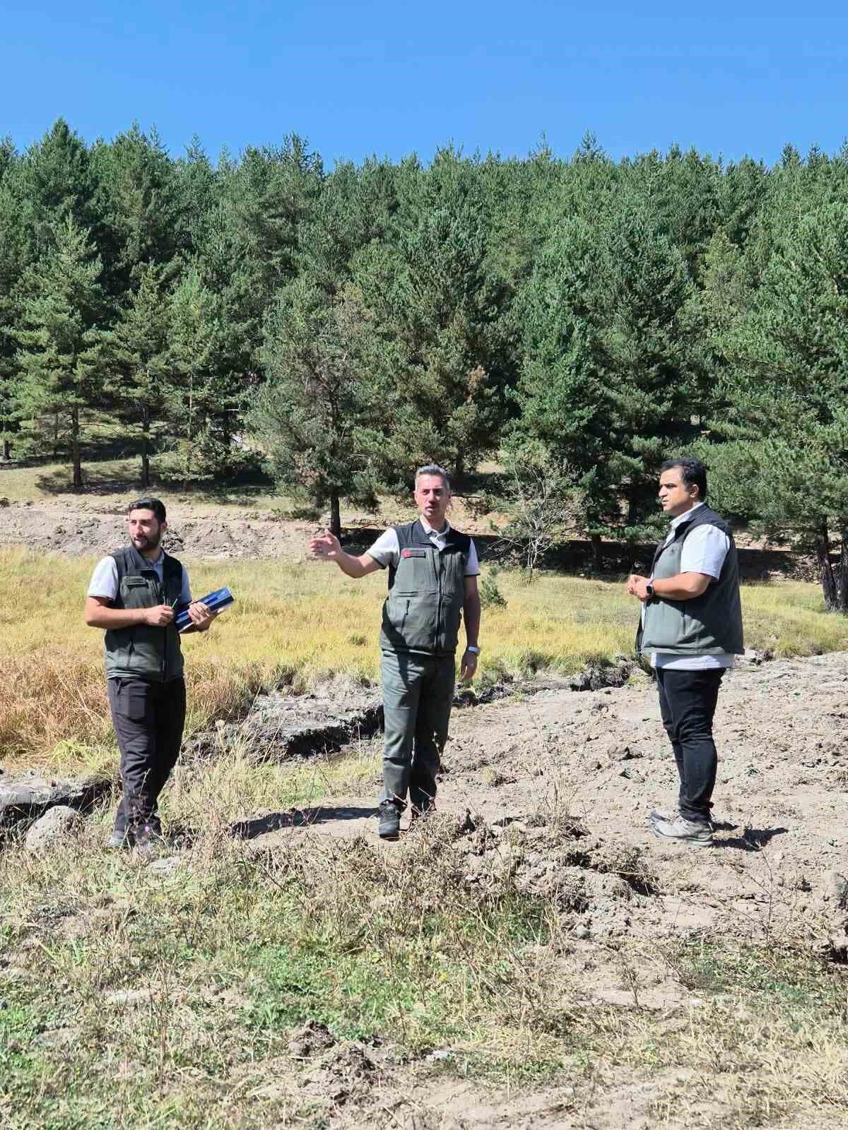 Sarıkamış Şehitleri Orman Parkı'nda yeni dönem: Doğayla iç içe yeşil alan etkinlik alanı için çalışmalar değerlendirildi