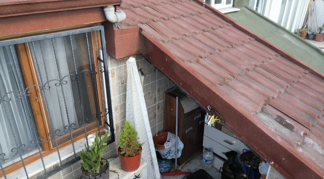 Sultangazi'de çatı katını arılar bastı: Arıların soktuğu kadın hastanelik oldu