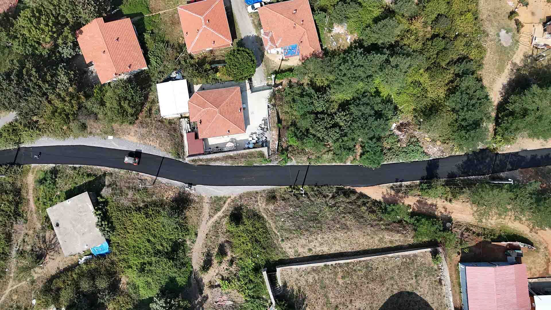 Çamyolu (20)
