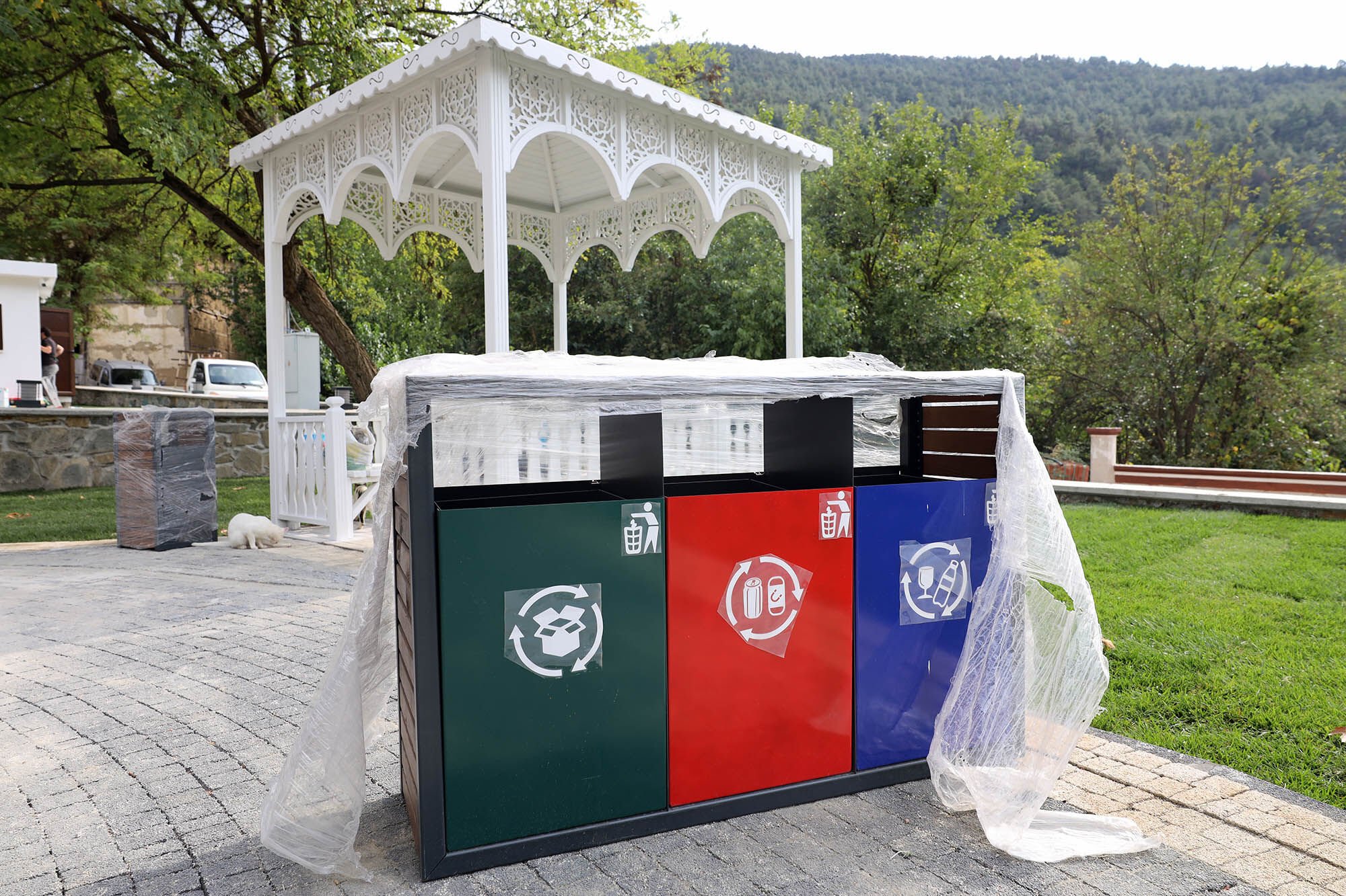 Tarihi Çınar 9