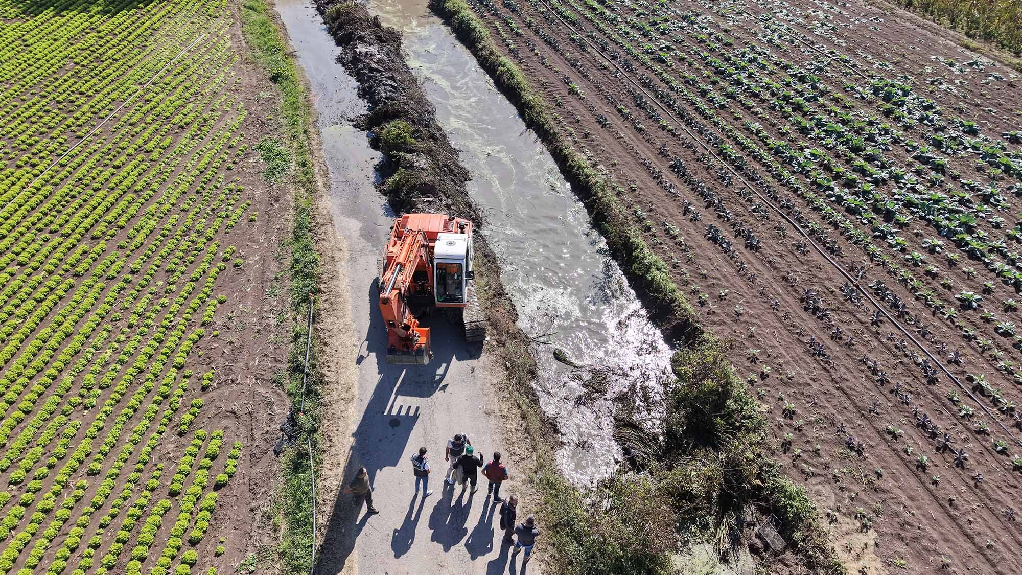 6 (30)-11