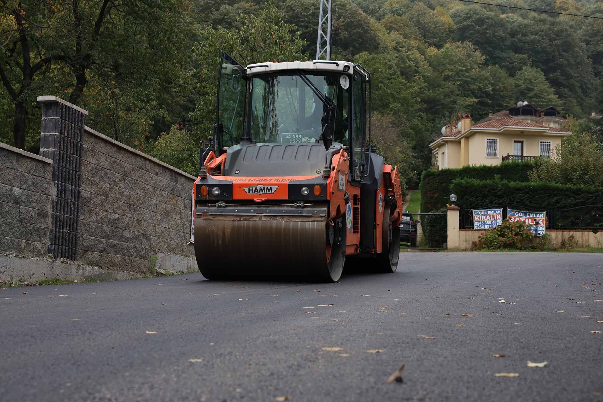 7 (19)-25