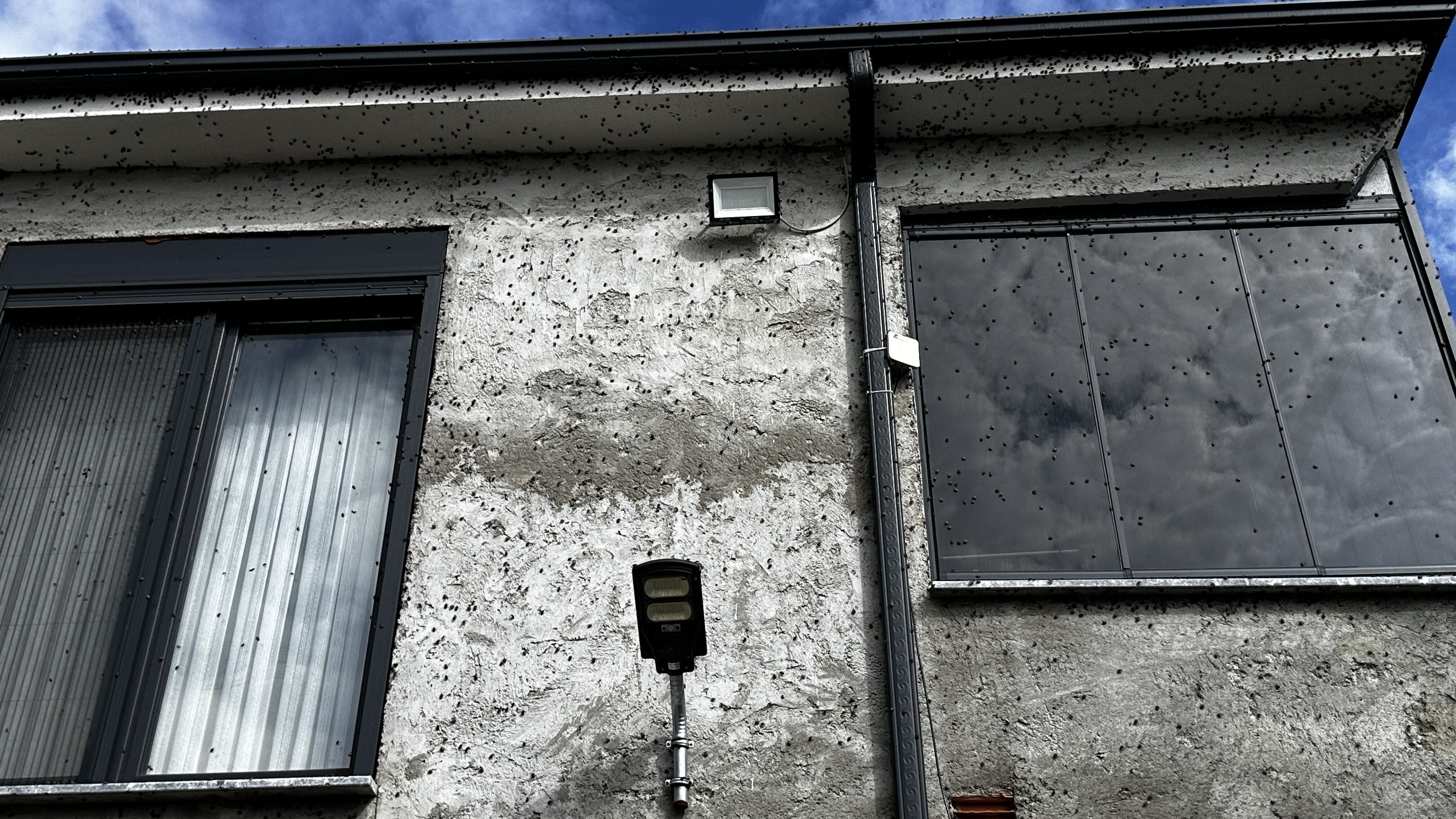 A W805358 02