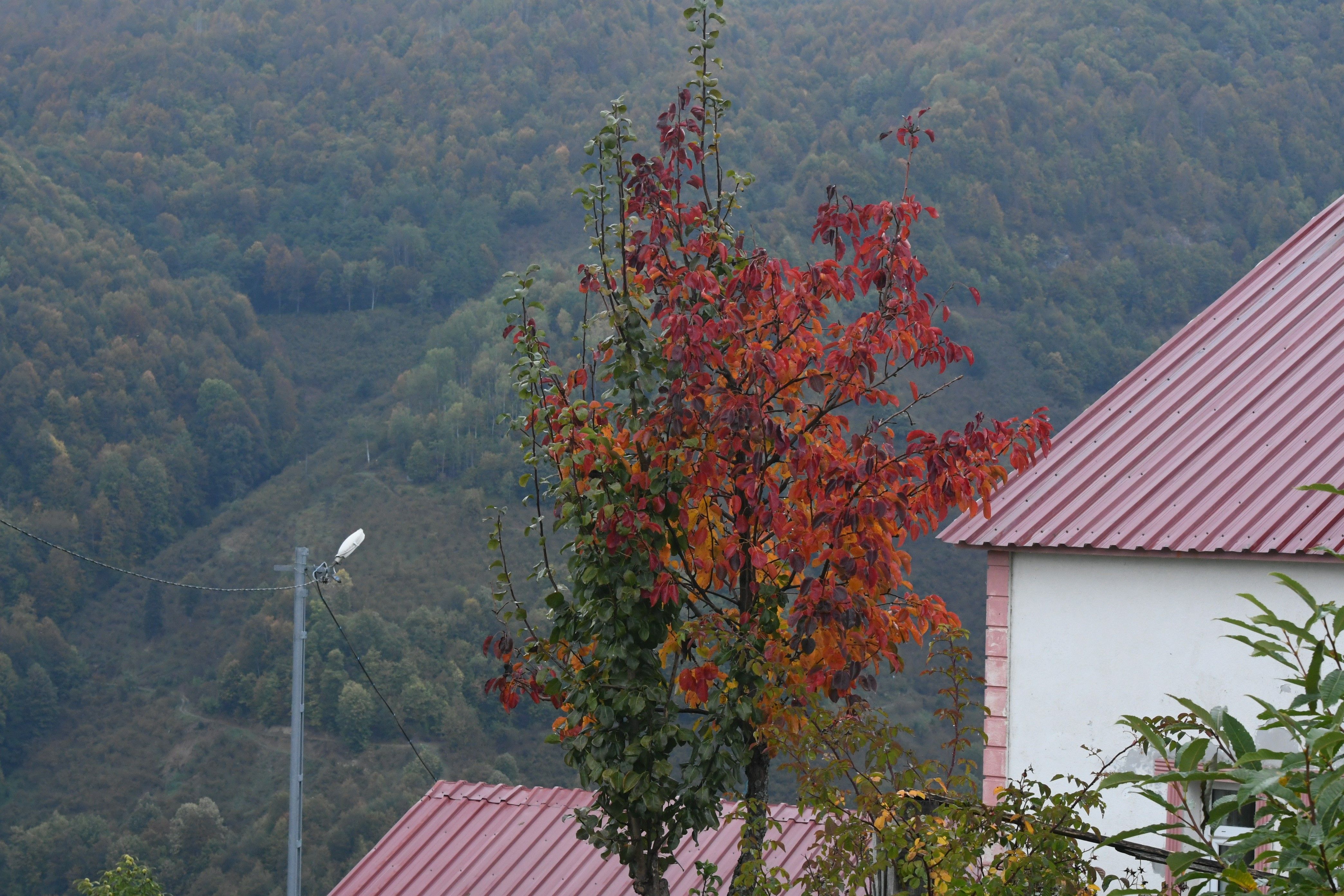 A W816535 03