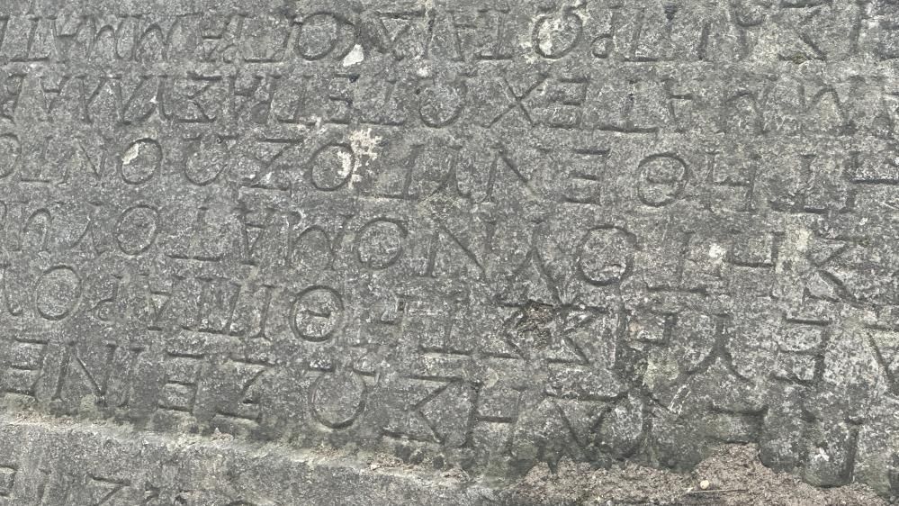 A W822081 02