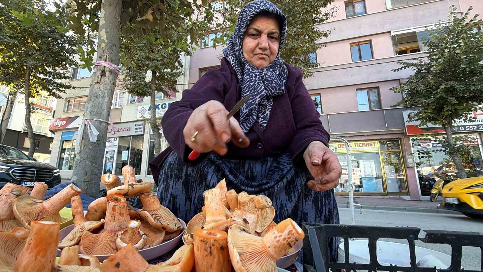 Bolu'da ormandan kova kova topluyor, pazarda kilosunu 600 liradan satıyor