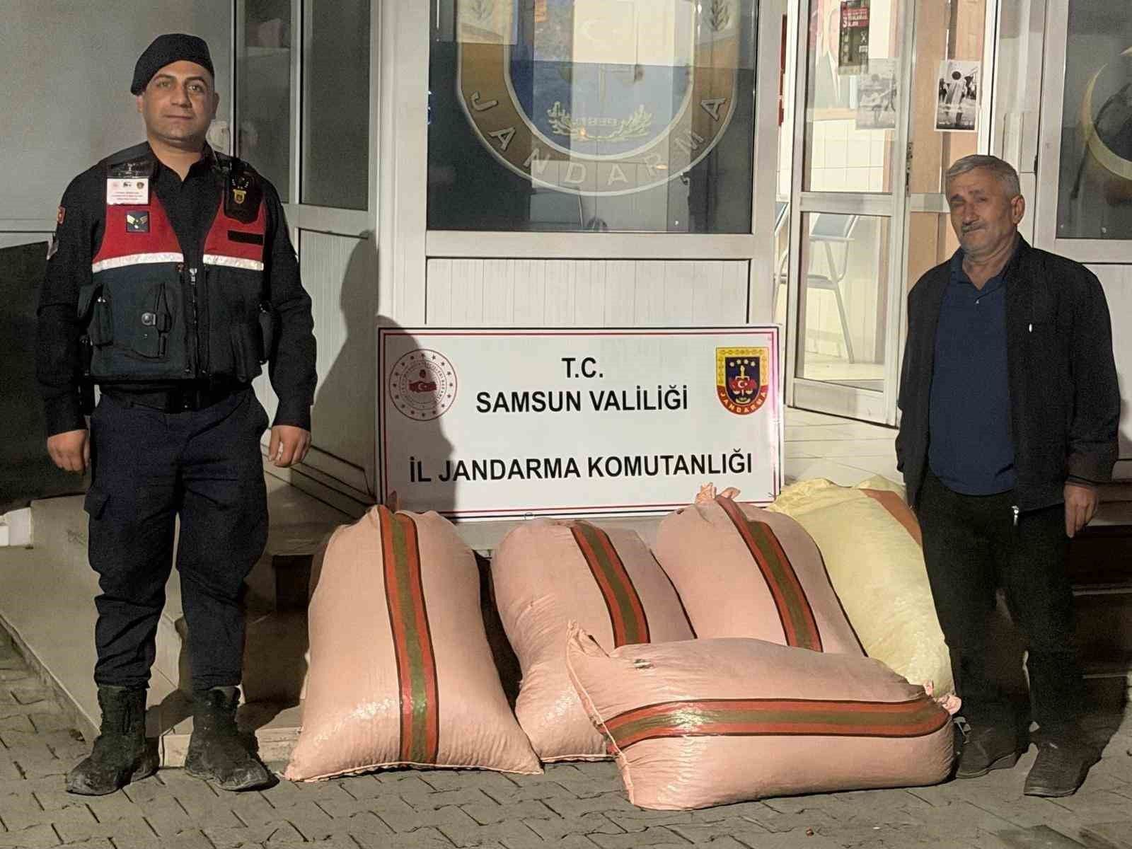 Çarşamba'da fındık dolandırıcılığı: 2 gözaltı