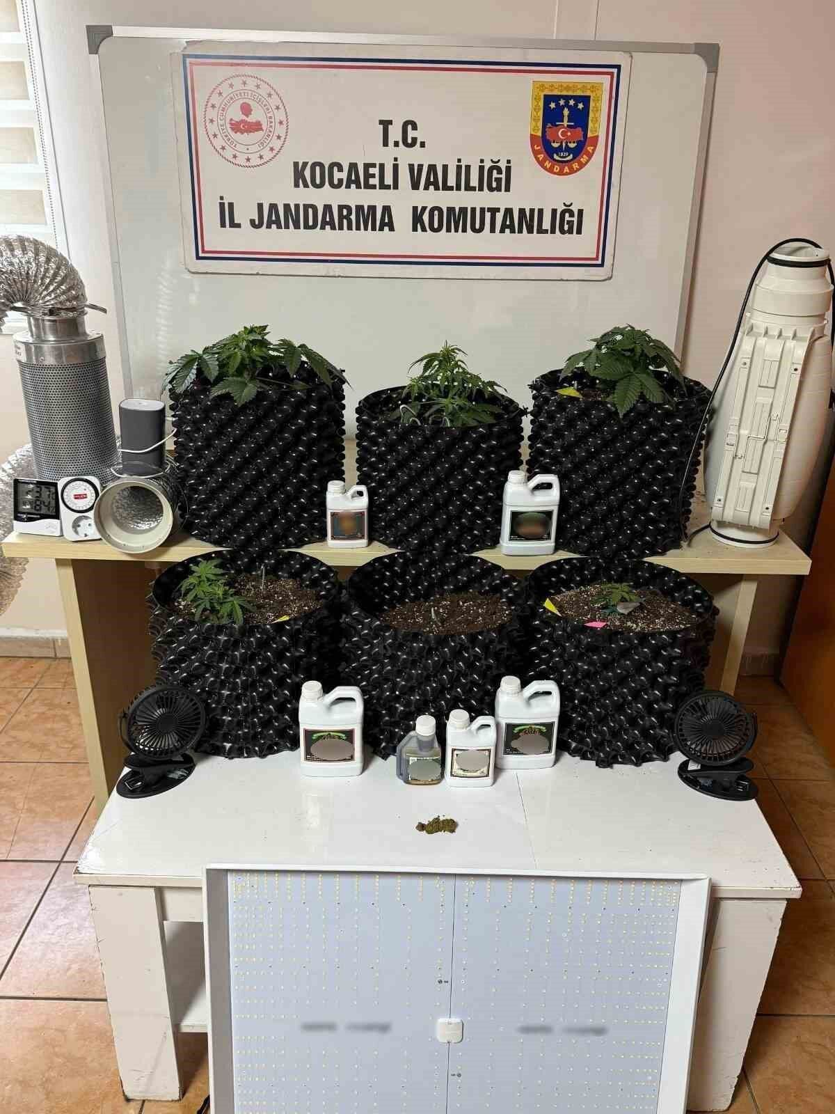 Kocaeli'de jandarmadan 4 ilçede uyuşturucu operasyonu