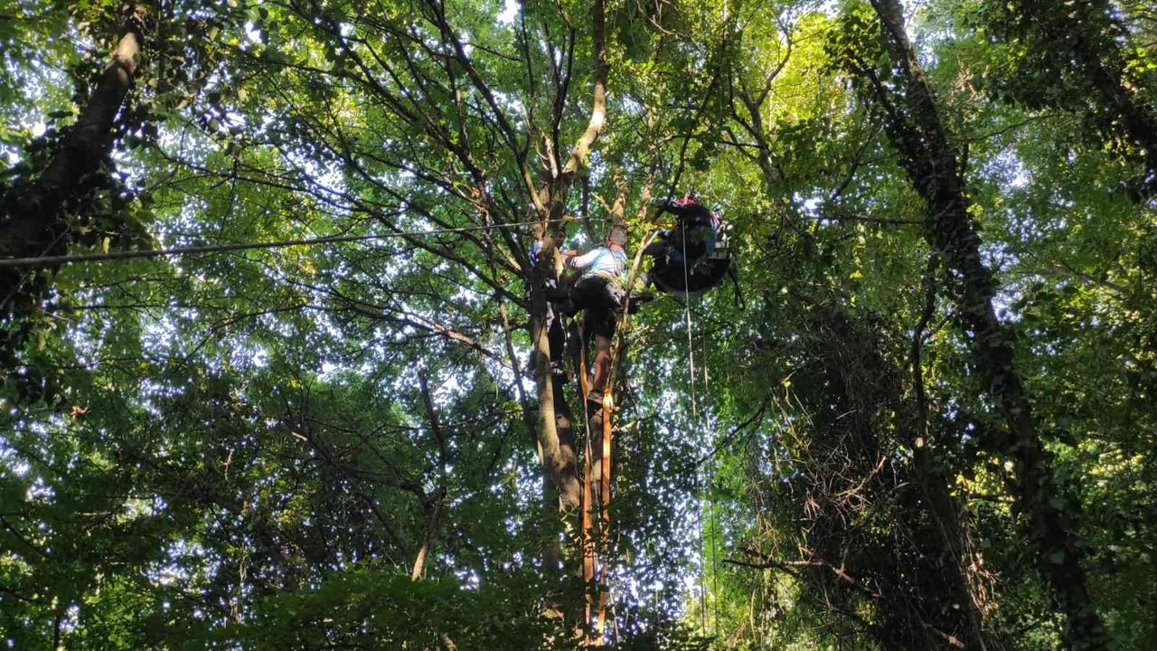 Paraşütle ağaca takılan vatandaşı AFAD kurtardı