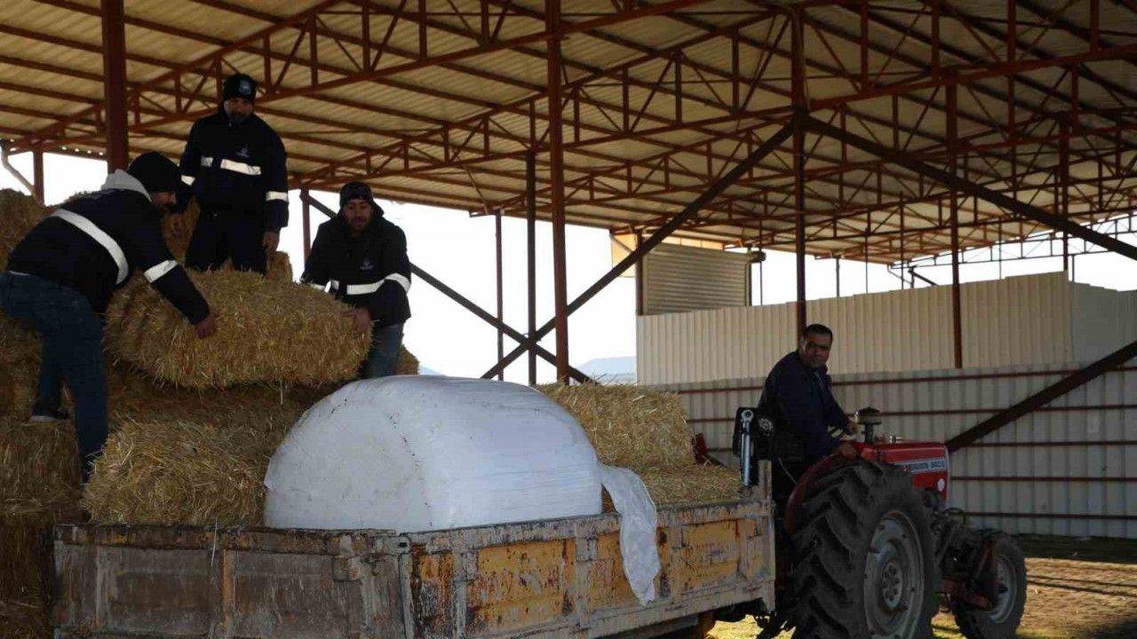 Şehzadeler Belediyesi tarım projesi ile üreticinin elini güçlendirdi