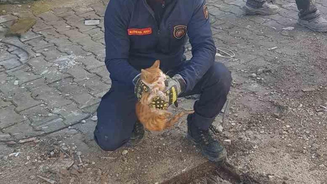 Mazgalın içinde mahsur kalan kedi itfaiye tarafından kurtarıldı