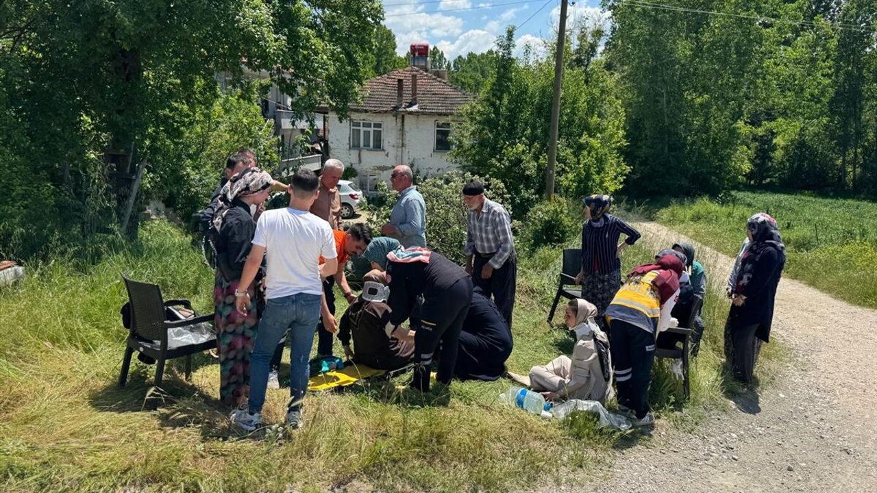 Bolu ve Sakarya'da iki ayrı kazada 5 kişi yaralandı