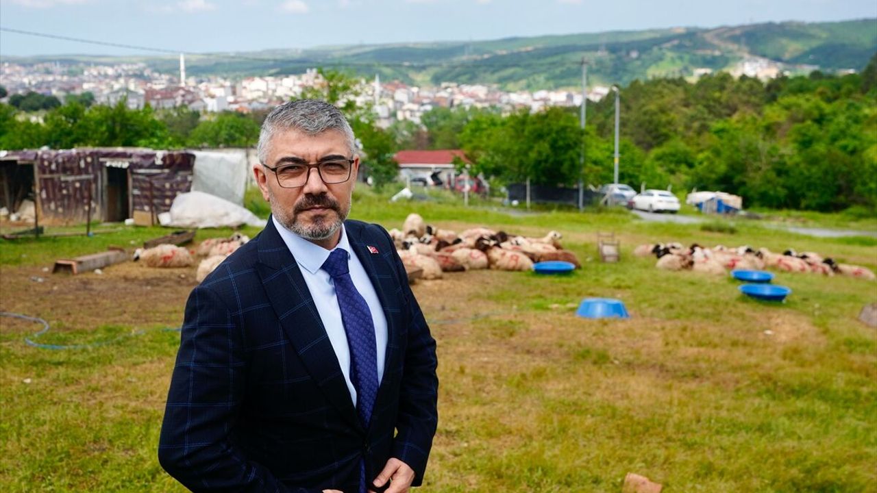 İstanbul'da gaziler ve şehit ailelerine yönelik kurban bağışı programı