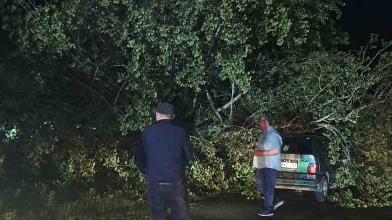 Bartın'da şiddetli fırtına: ağaçlar Otomobillerin üzerine devrildi