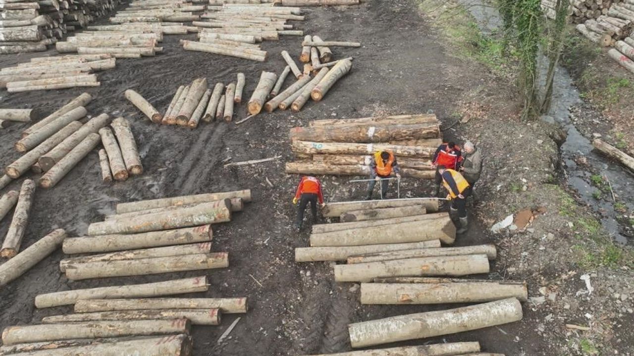 Düzce'den 3 bin 400 ton orman ürünü ihraç edildi