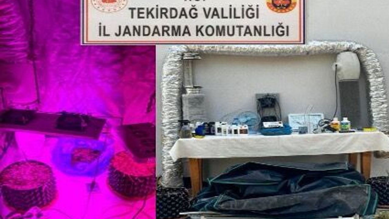 Tekirdağ'da uyuşturucu ve silah kaçakçılığı operasyonlarında