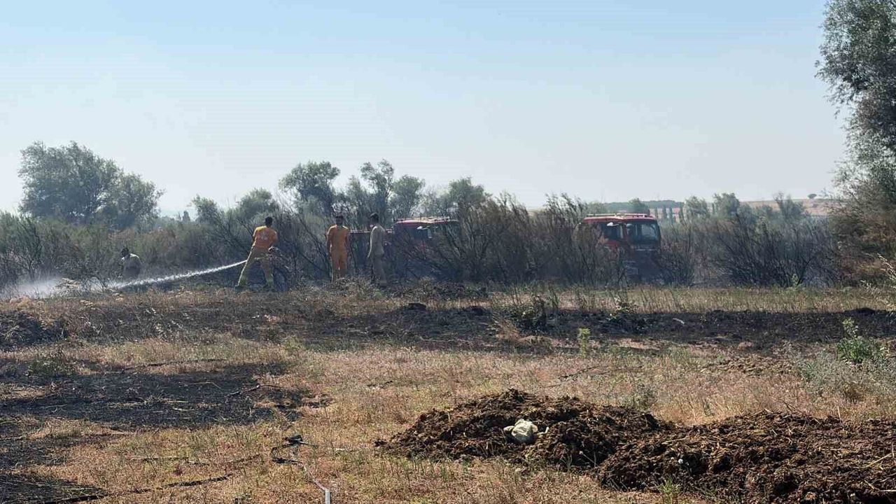 Balıkesir'de iki ayrı ilçede çıkan arazi yangınları kontrol 
