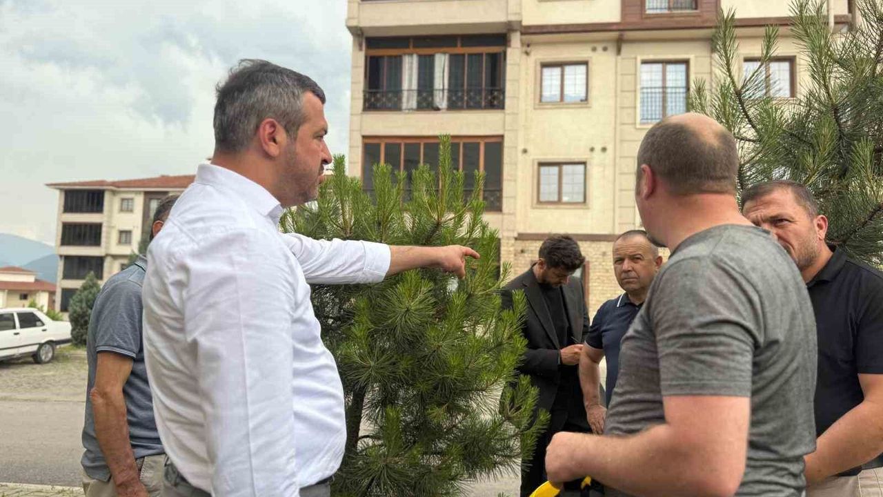 Başkan Çetinkaya'dan Belen TOKİ'ye tema park müjde