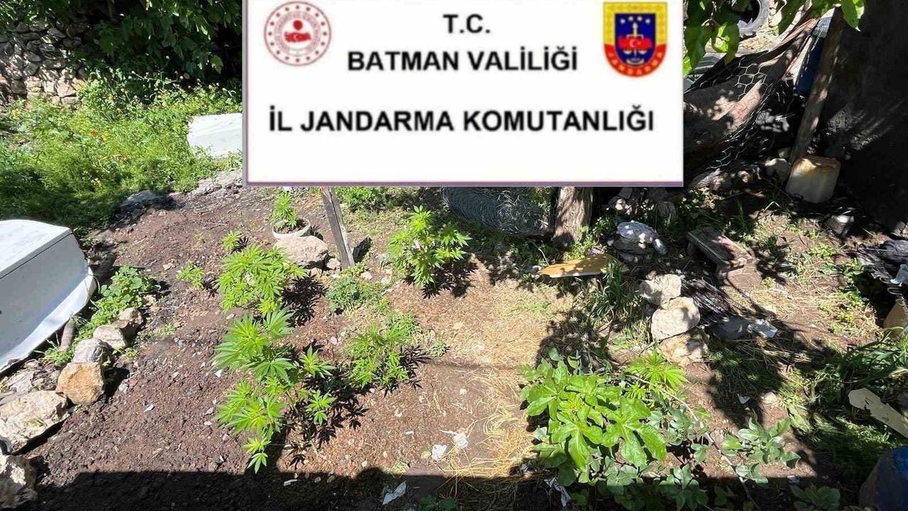Batman'da uyuşturucu ve kaçak ürün operasyonu