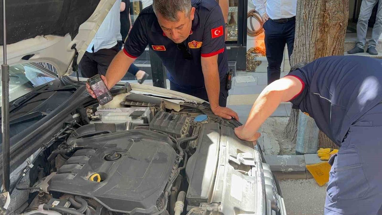 Bir arabadan çıkıp başka arabaların altına giren kedi itfaiy