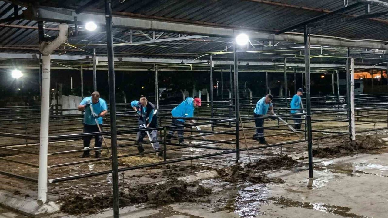 Efeler'de bayram sonrası kapsamlı temizlik seferberliği