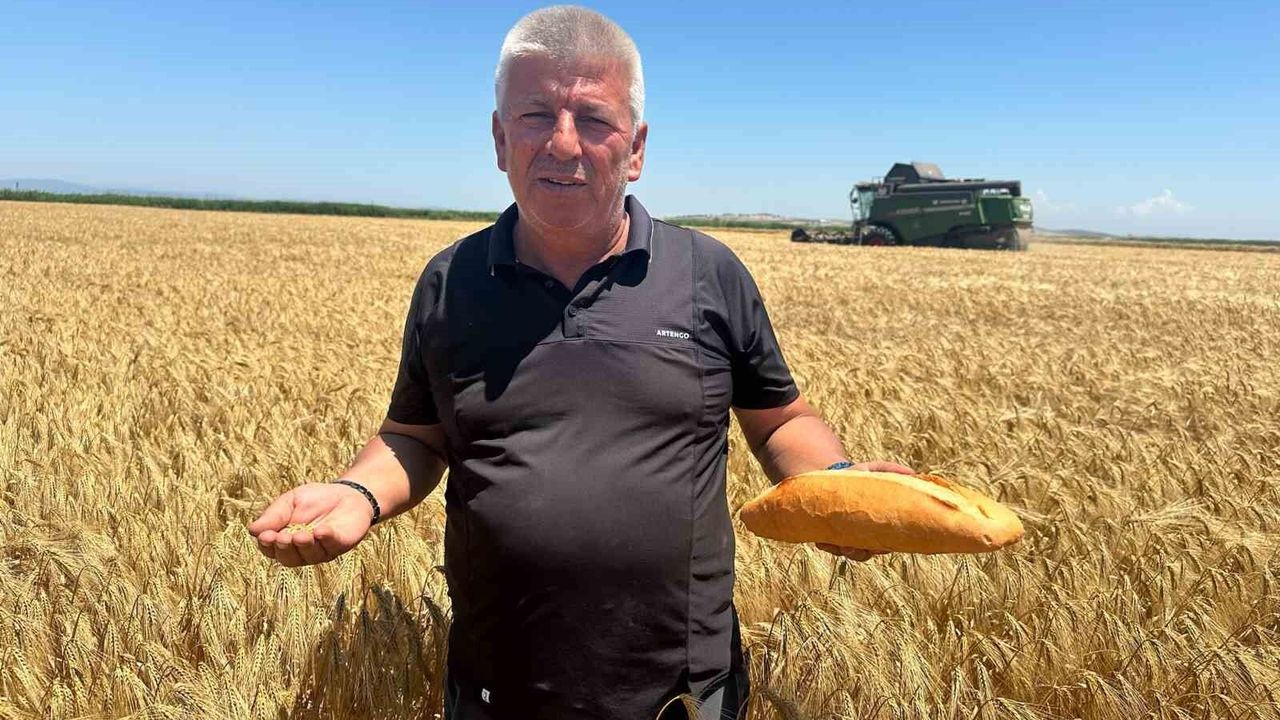 Karacabeyli çiftçiler: '20 liralık ekmekte bizim payımız 5 l