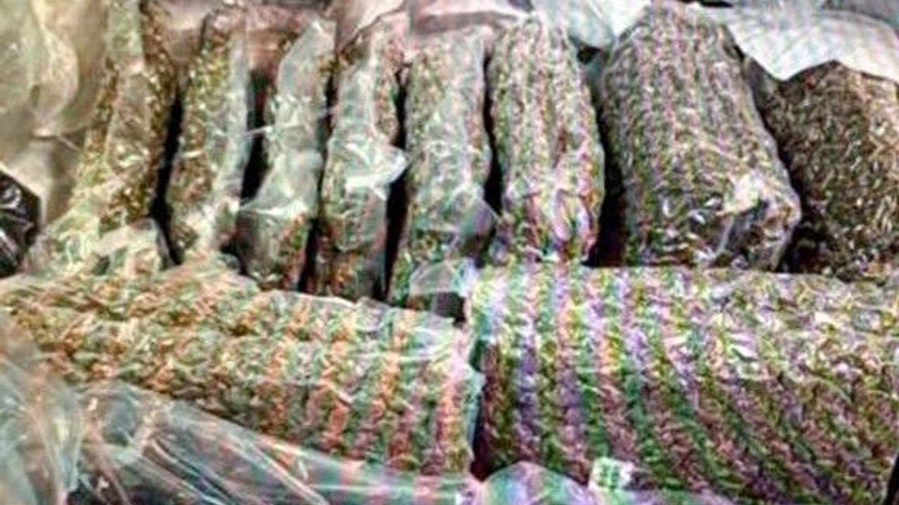 Kazakistan'da bagajında 21 kilo esrar taşıyan kadın gözaltın