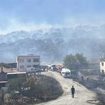 GÜNCELLEME 2 - Balıkesir'in Edremit ilçesinde arazide başlayıp ormana sıçrayan yangın kontrol altına alındı