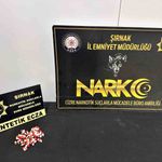 Şırnak'ta asayiş ve narkotik operasyonları düzenlendi